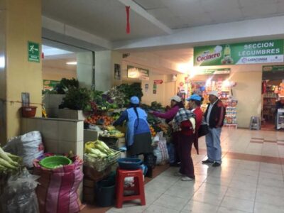 La Ortiga es una planta medicinal más popular del mundo